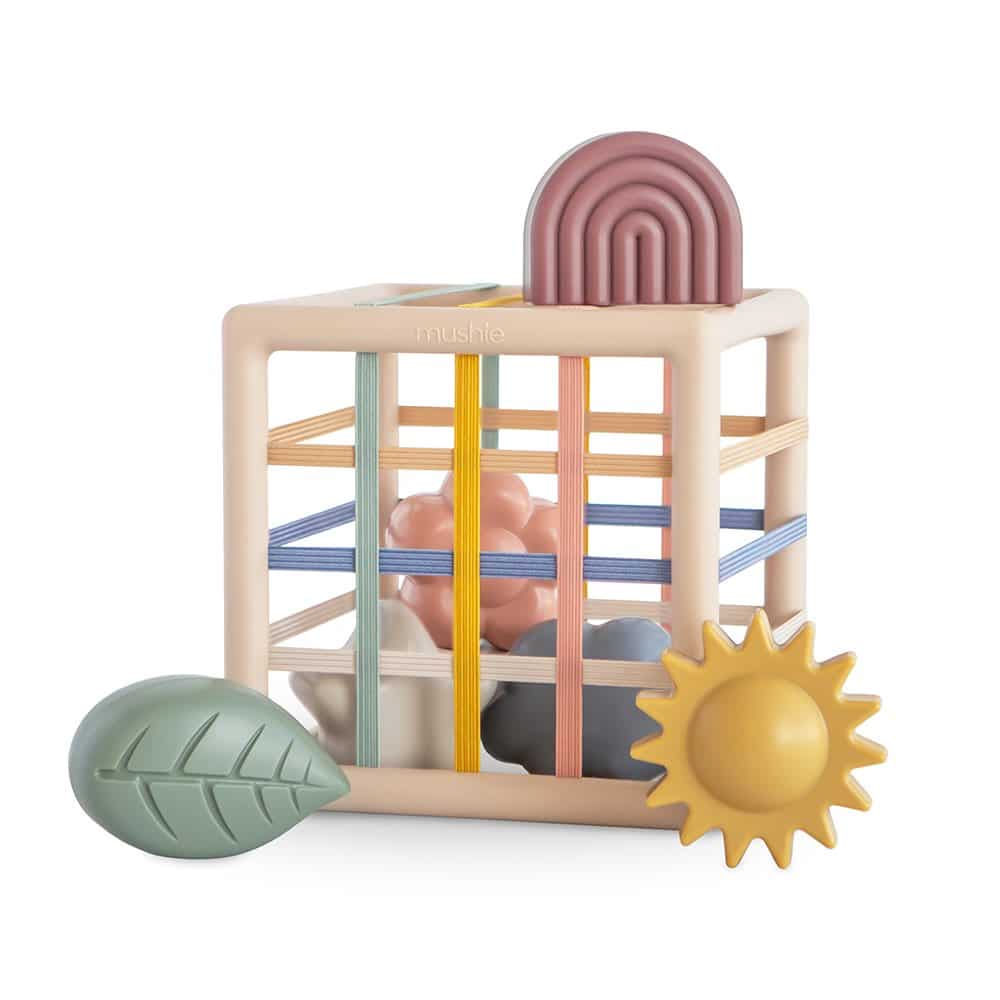 Elastic Shape Sorter p